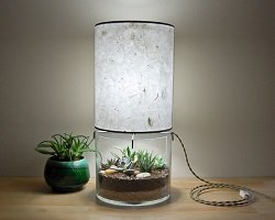 Дизайнерская лампа-вазон by SHare Studios