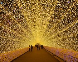 Световые тоннели – яркий арт-проект талантливого японца