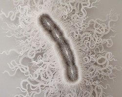 Необычная скульптура микроба из бумаги