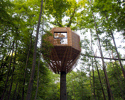 Дизайнерский домик на дереве