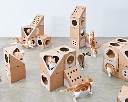 Модульные домики для котов от дизайнеров из Тайваня