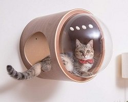Роскошный домик для кота by MyZoo