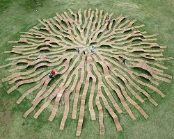 Root Bench – креативные скамейки в парке Сеула