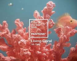 Модный цвет 2019 года - коралловый