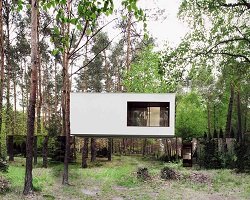 Izabelin House - дом с оптической иллюзией растворения в лесу