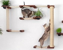 Модульная игровая площадка для котов