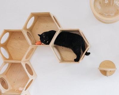 Оригинальная модульная мебель для котов by PetsHelperCo