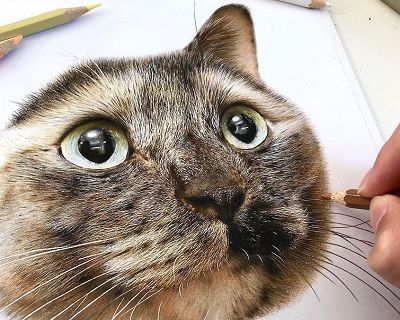 Невероятно реалистичные кошки в картинах художника Haruki Kudo